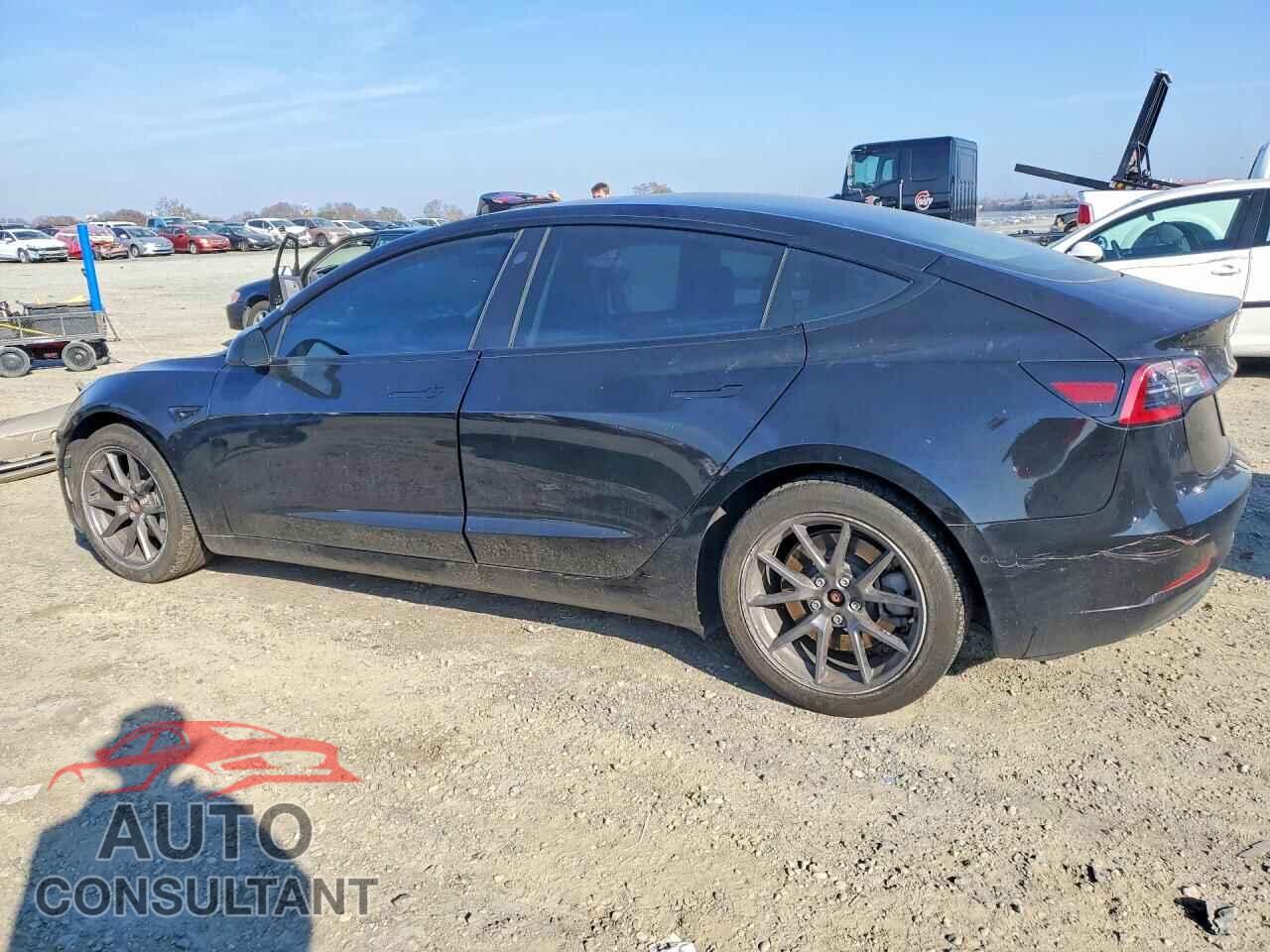 TESLA MODEL 3 2021 - 5YJ3E1EA0MF003431