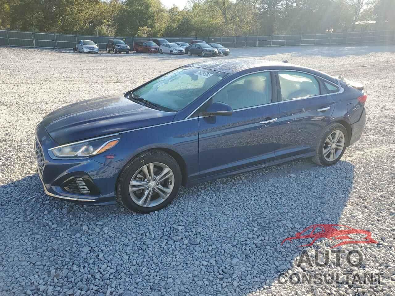 HYUNDAI SONATA 2019 - 5NPE34AF6KH772046