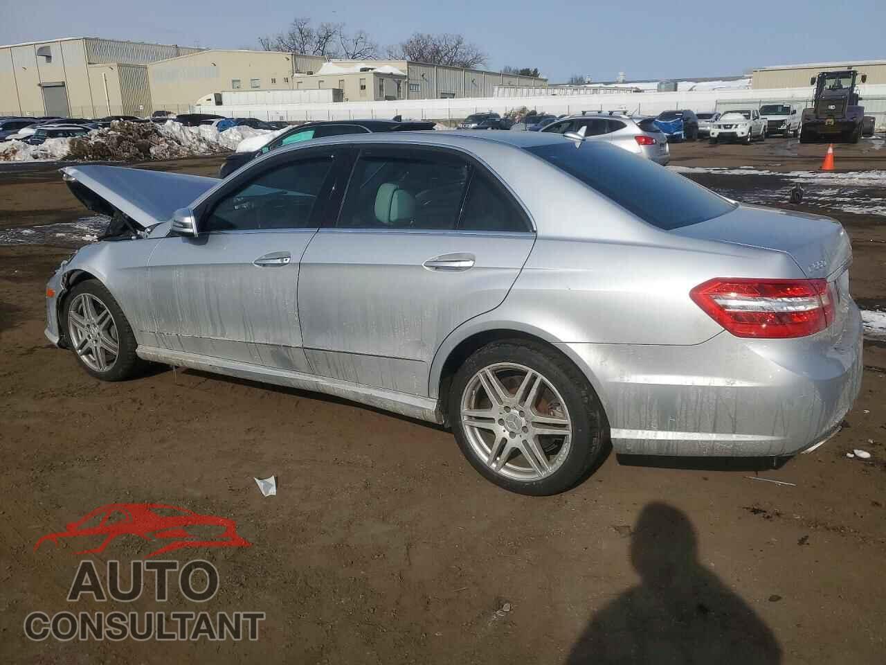 MERCEDES-BENZ E-CLASS 2010 - WDDHF9ABXAA194561