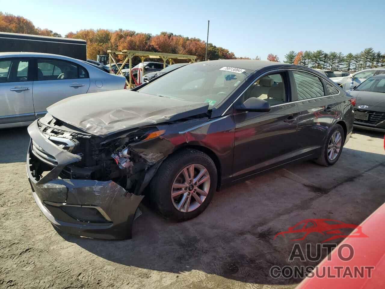 HYUNDAI SONATA 2016 - 5NPE24AF9GH394606