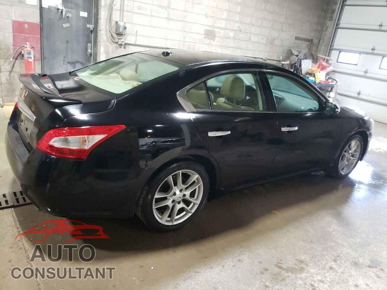NISSAN MAXIMA 2011 - 1N4AA5AP2BC803040
