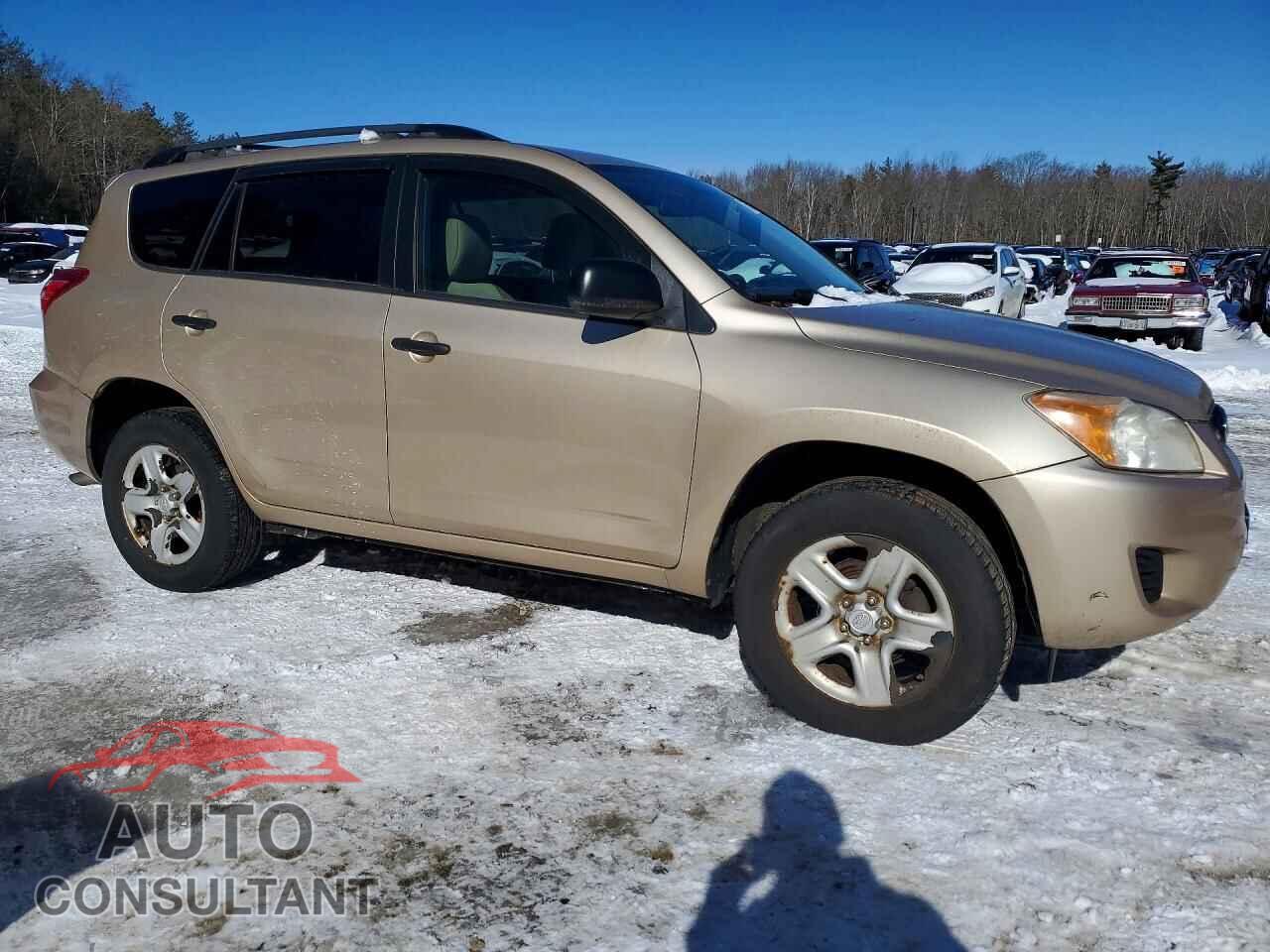 TOYOTA RAV4 2011 - 2T3BF4DV4BW098775