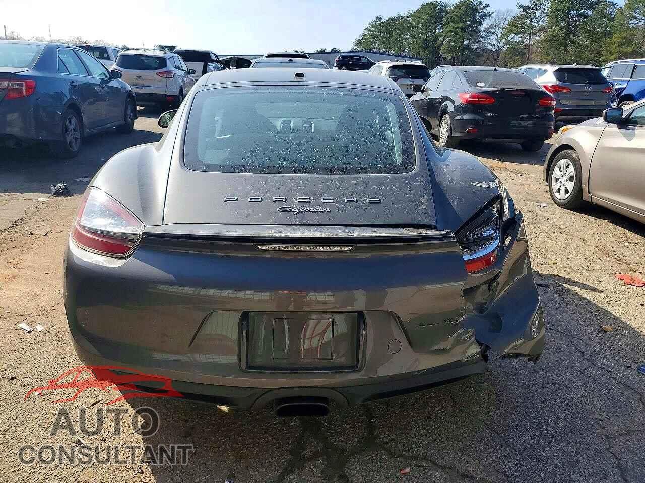 PORSCHE CAYMAN 2014 - WP0AA2A87EK172782
