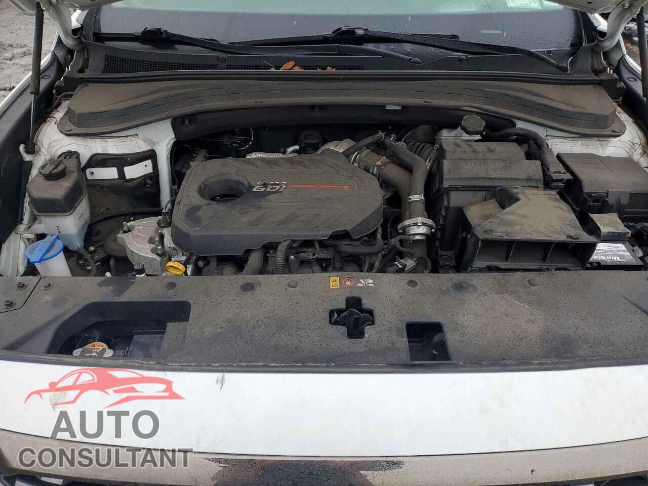 HYUNDAI SANTA FE 2020 - 5NMS5CAA9LH248299