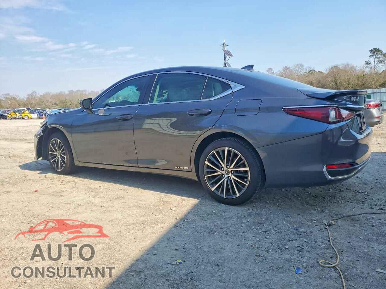 LEXUS ES300 2022 - 58ADA1C18NU021384