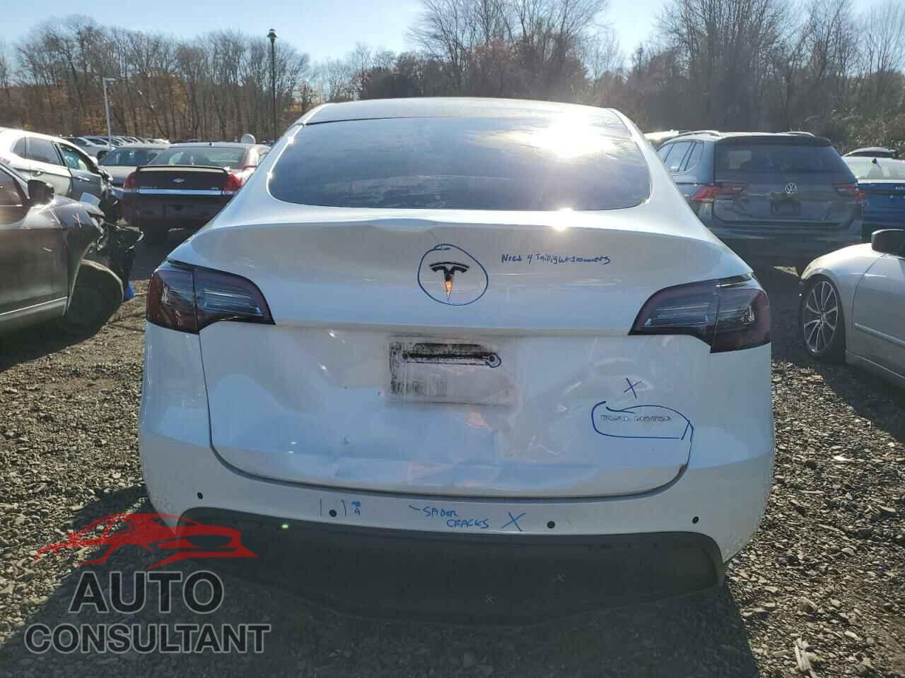 TESLA MODEL Y 2021 - 5YJYGAEE1MF144429