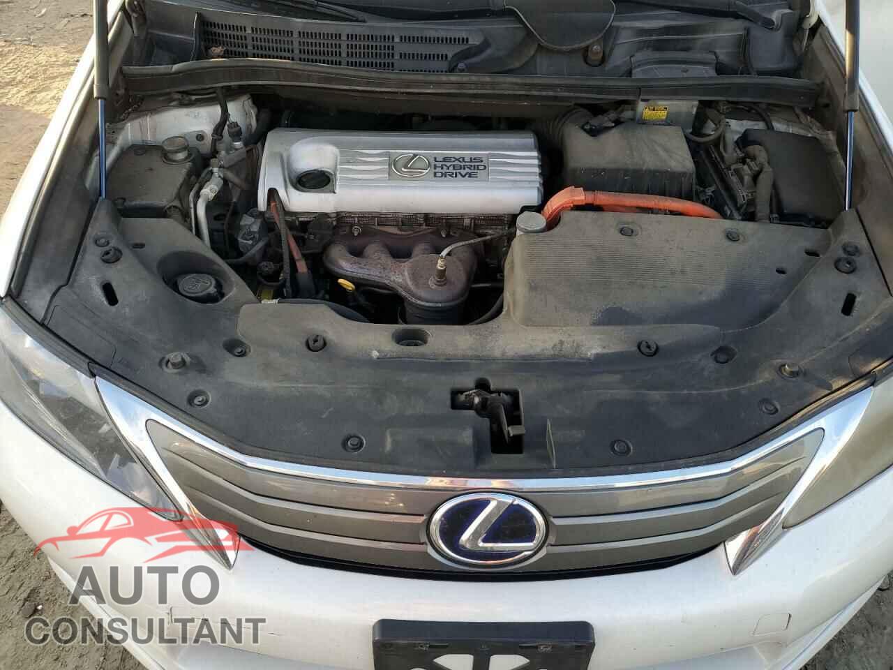 LEXUS HS 2010 - JTHBB1BA7A2031894
