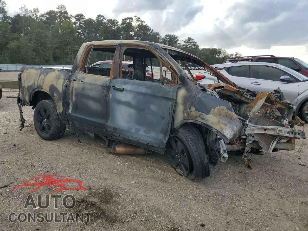 HONDA RIDGELINE 2019 - 5FPYK3F80KB001981