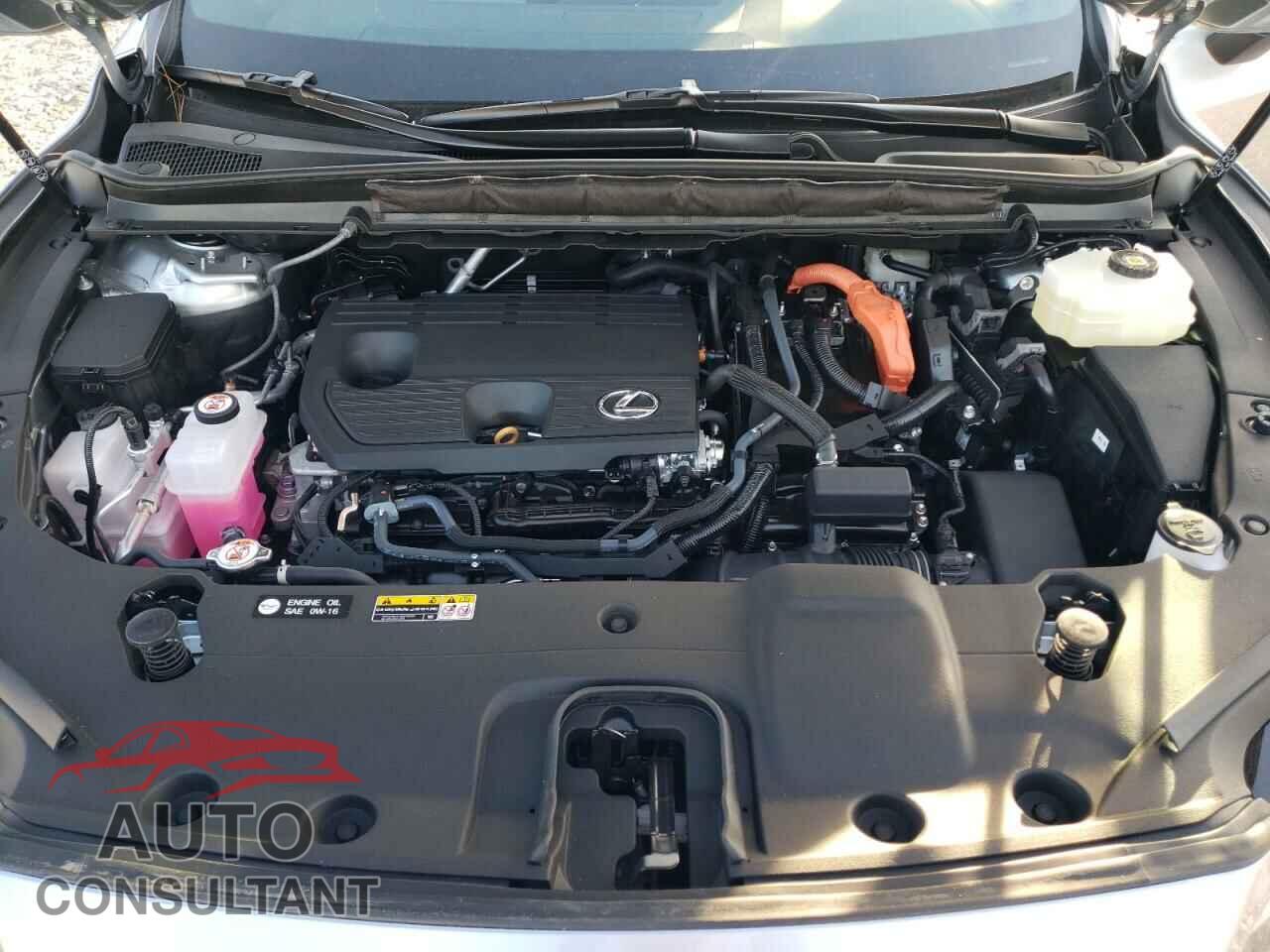 LEXUS RX 350H BA 2023 - 2T2BBMCA7PC018473