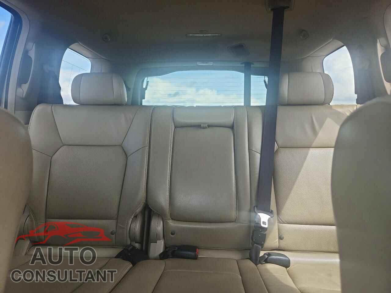 HONDA PILOT 2009 - 5FNYF48579B032242