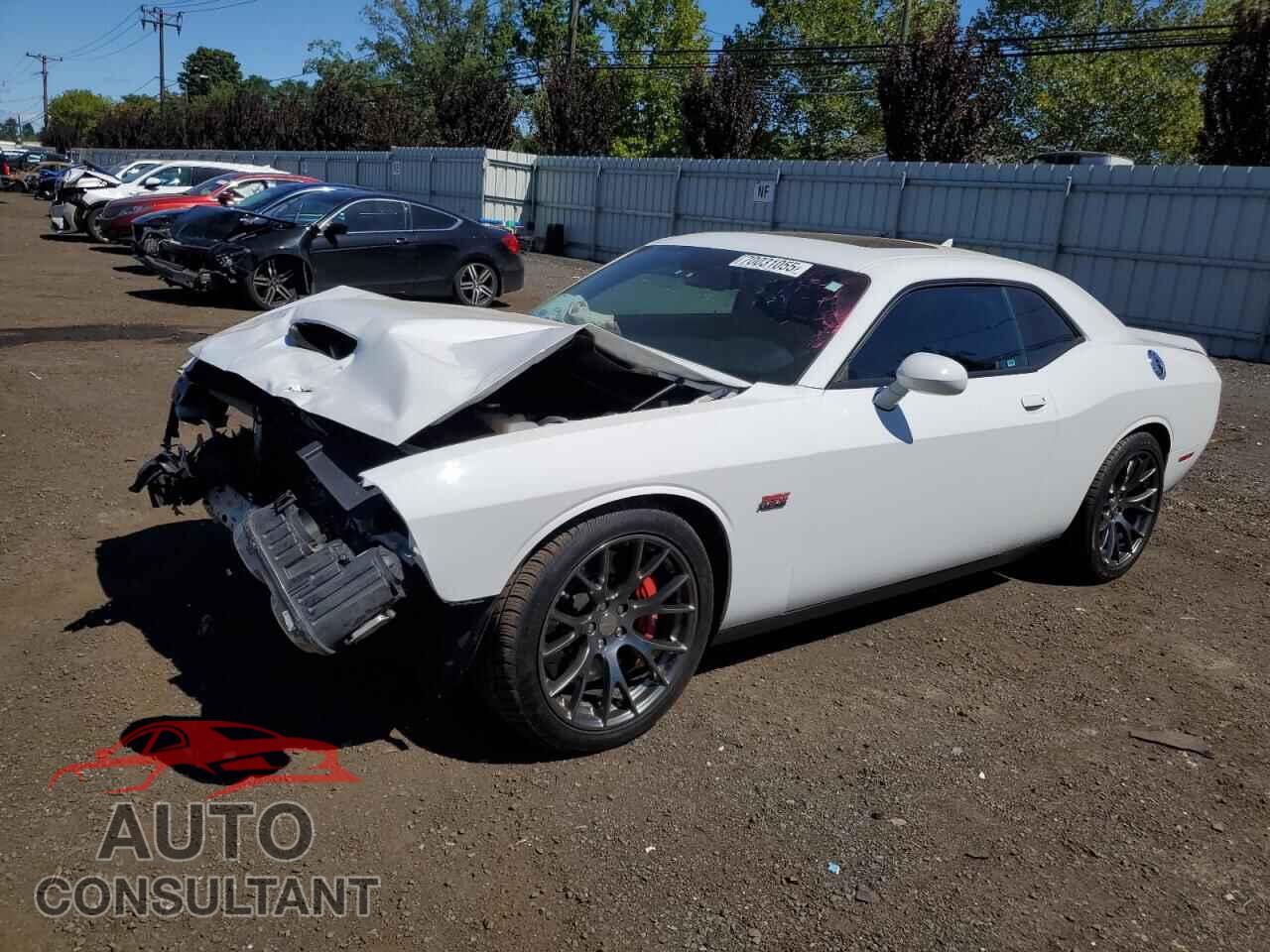 DODGE CHALLENGER 2016 - 2C3CDZDJ4GH220762