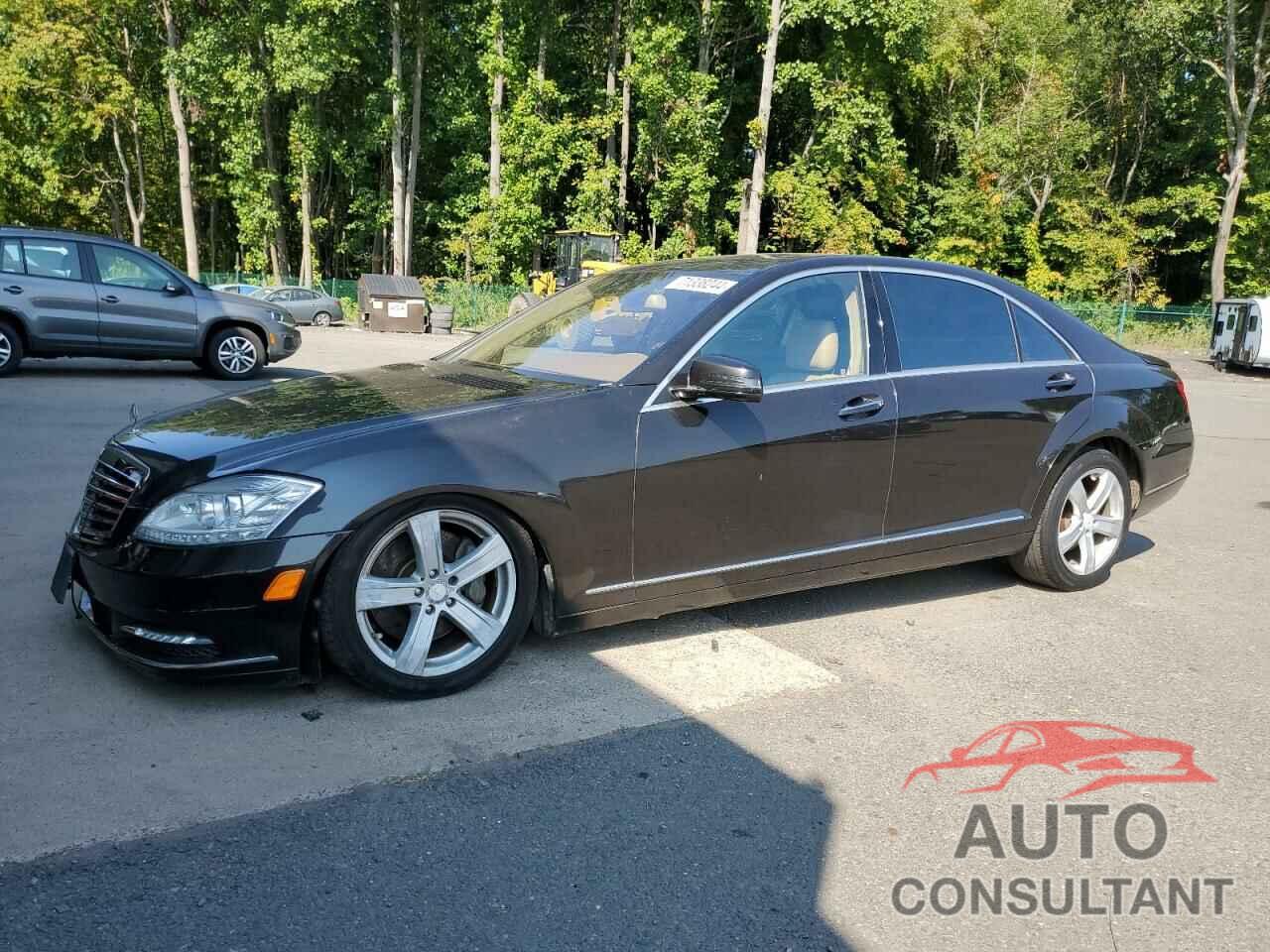 MERCEDES-BENZ S-CLASS 2010 - WDDNG8GBXAA315641