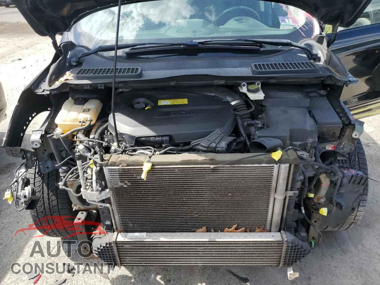FORD ESCAPE 2013 - 1FMCU0GX6DUD31292