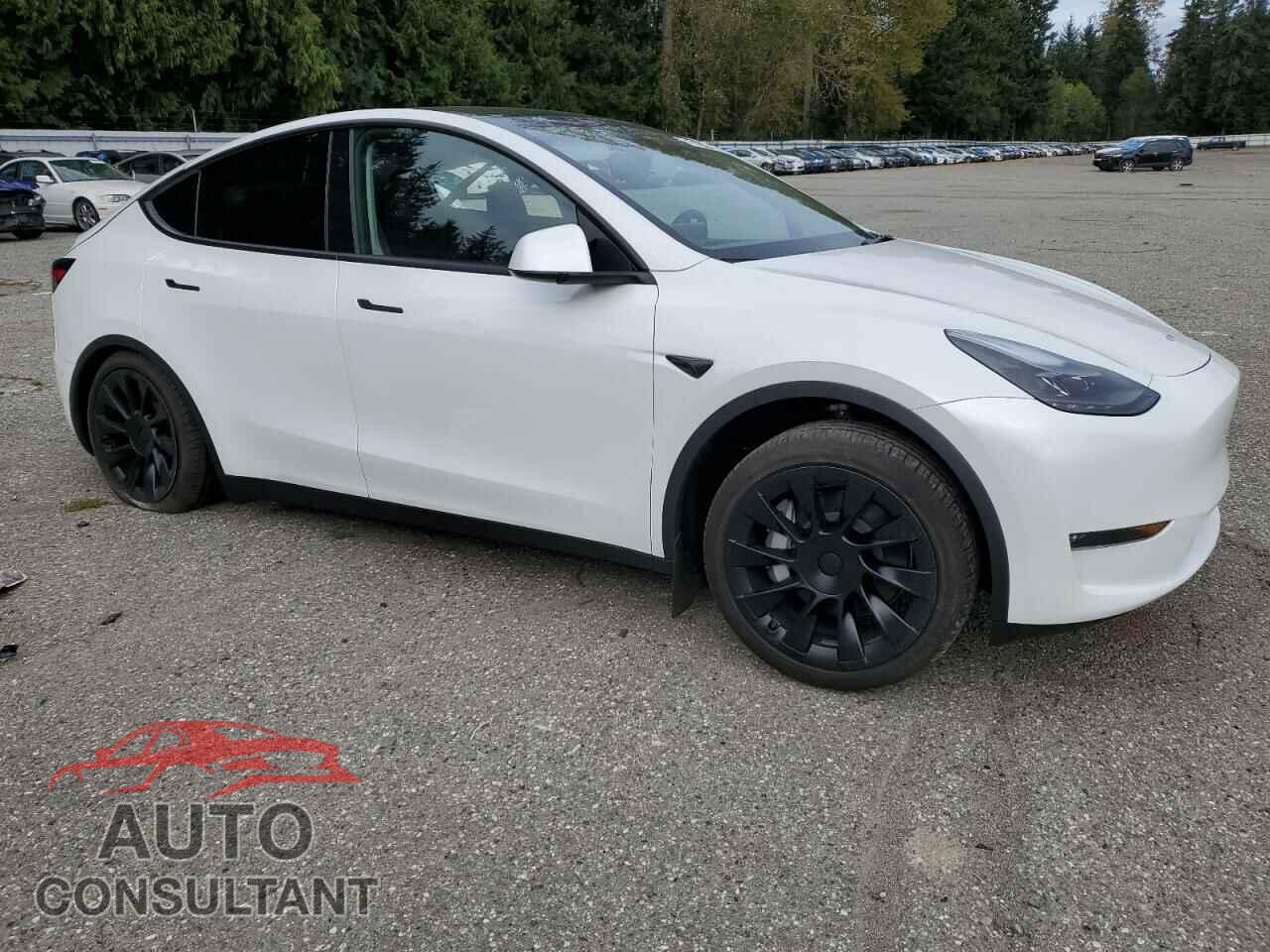 TESLA MODEL Y 2024 - 7SAYGDEE1RF083241