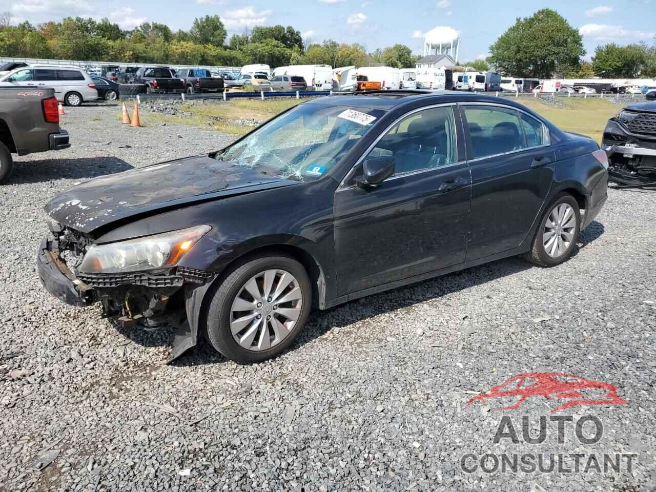 HONDA ACCORD 2009 - 1HGCP26859A087646