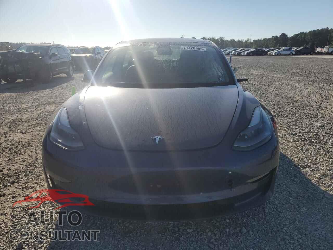 TESLA MODEL 3 2021 - 5YJ3E1EA7MF921287