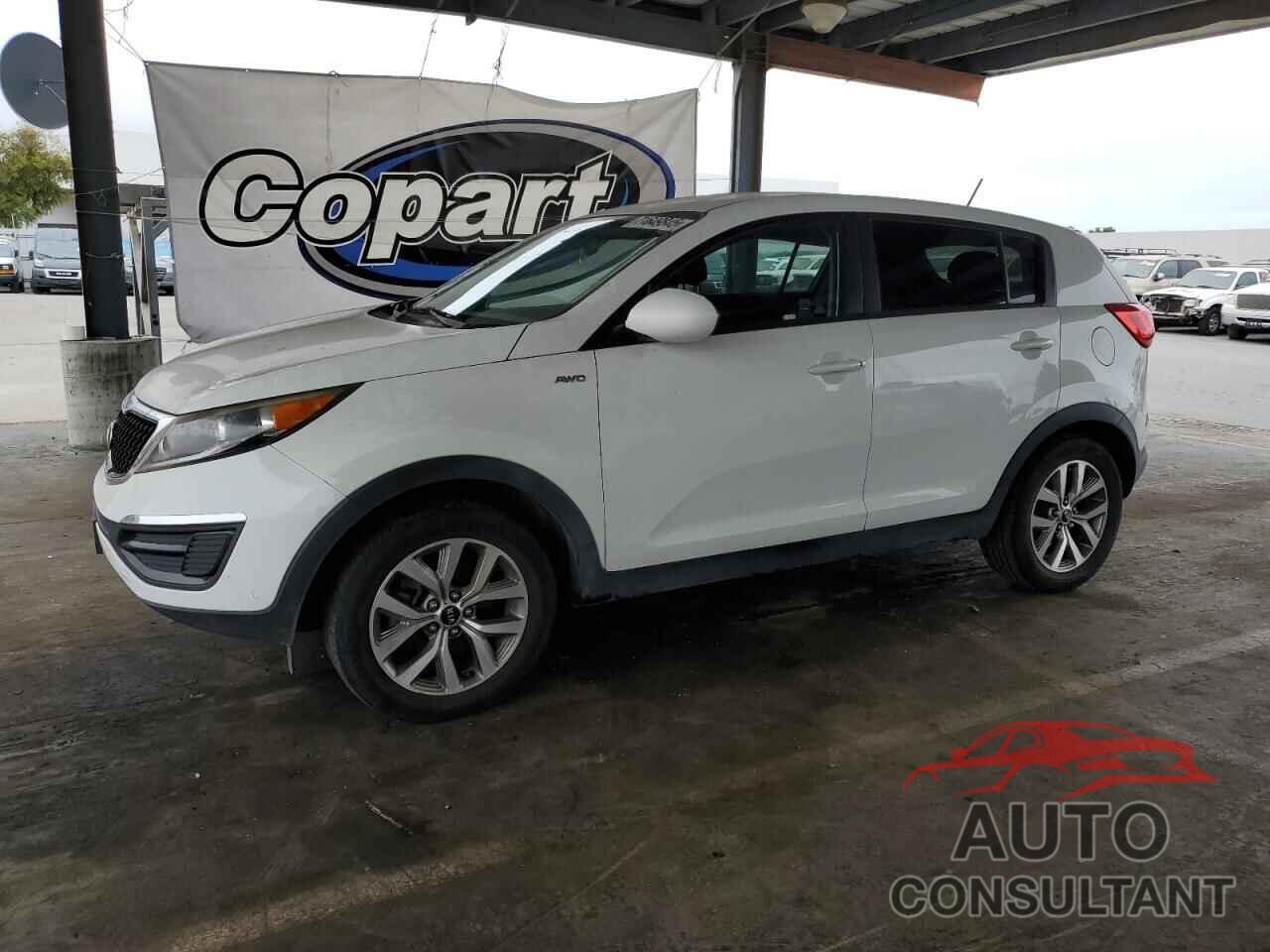 KIA SPORTAGE 2016 - KNDPBCAC8G7800761