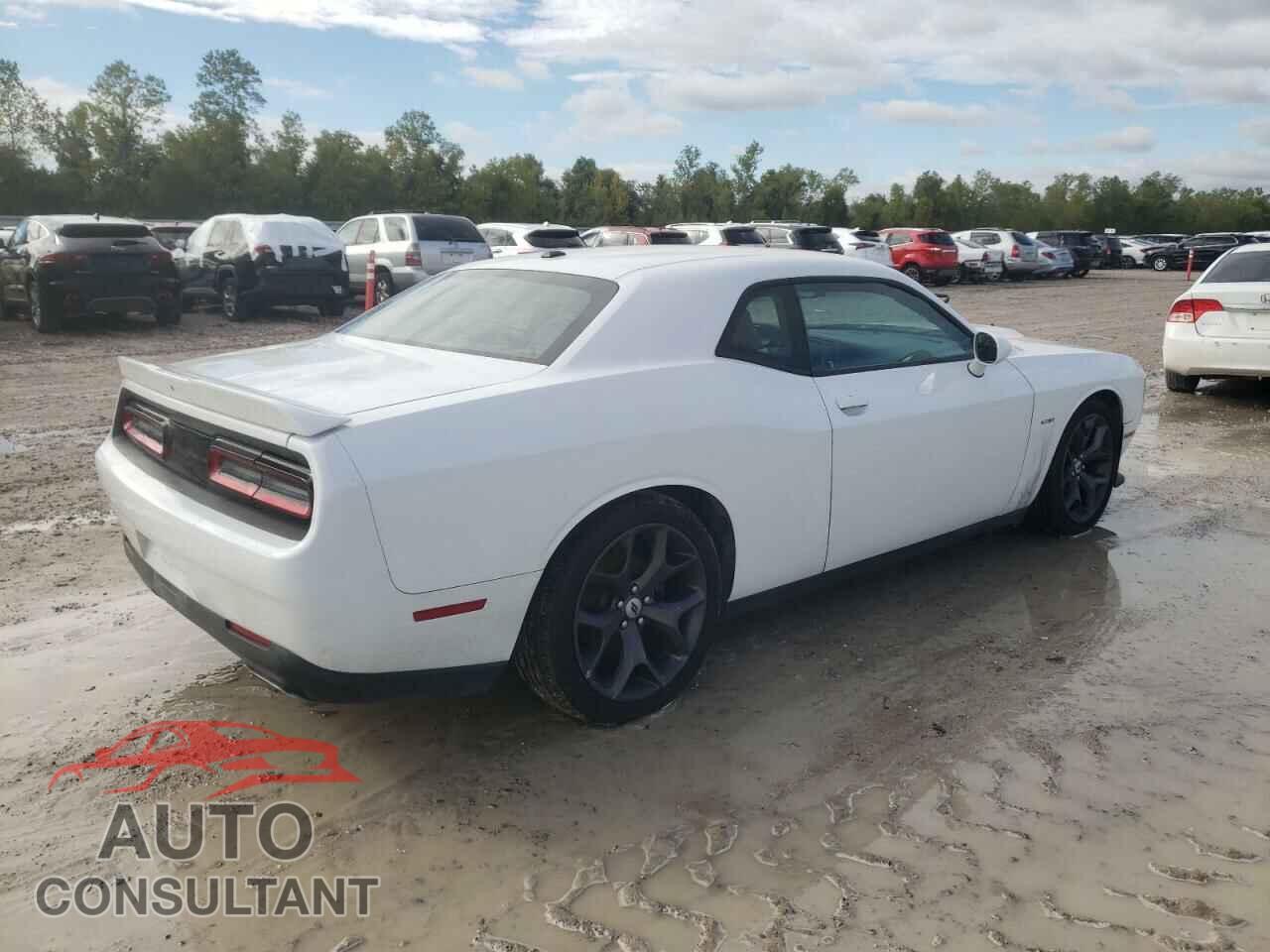 DODGE CHALLENGER 2019 - 2C3CDZBT5KH708440