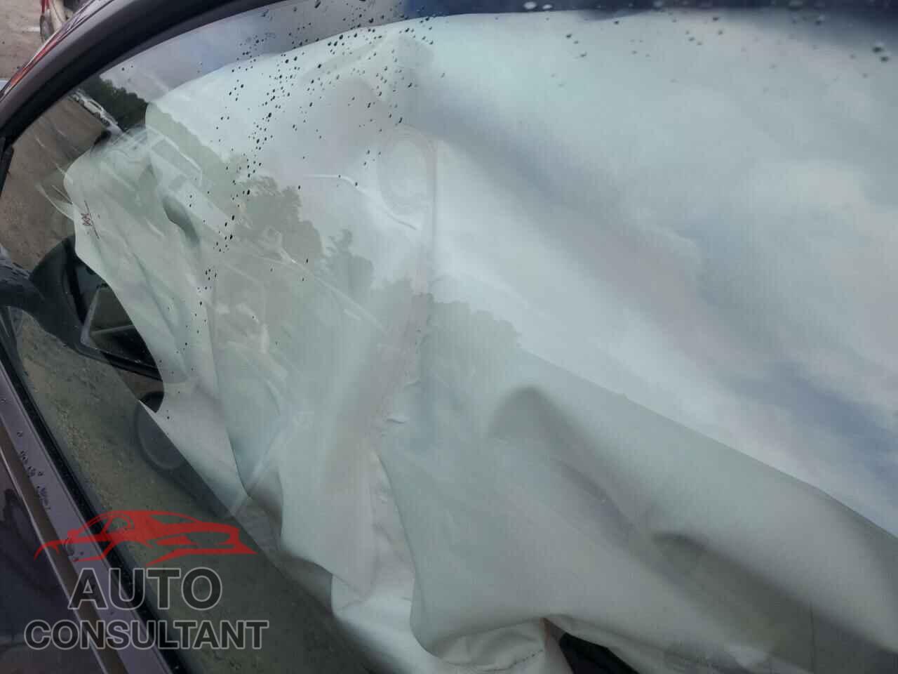 TESLA MODEL Y 2024 - 7SAYGAEE5RF089252