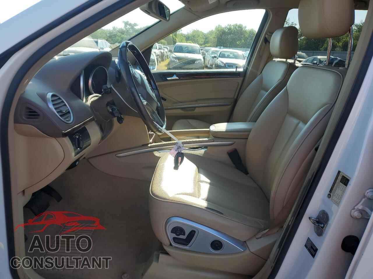 MERCEDES-BENZ GL-CLASS 2010 - 4JGBF7BE3AA610295