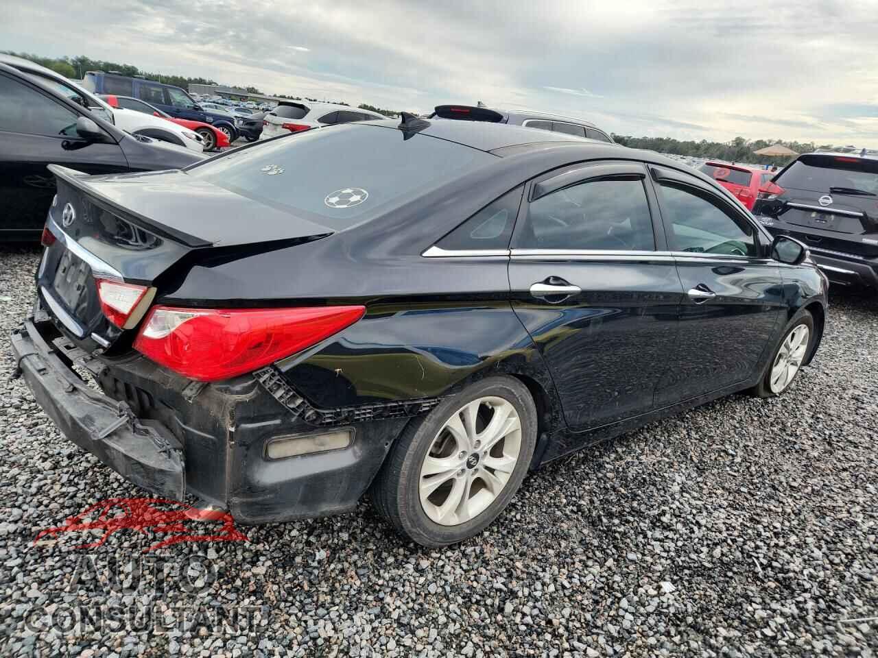 HYUNDAI SONATA 2013 - 5NPEC4AC3DH699601