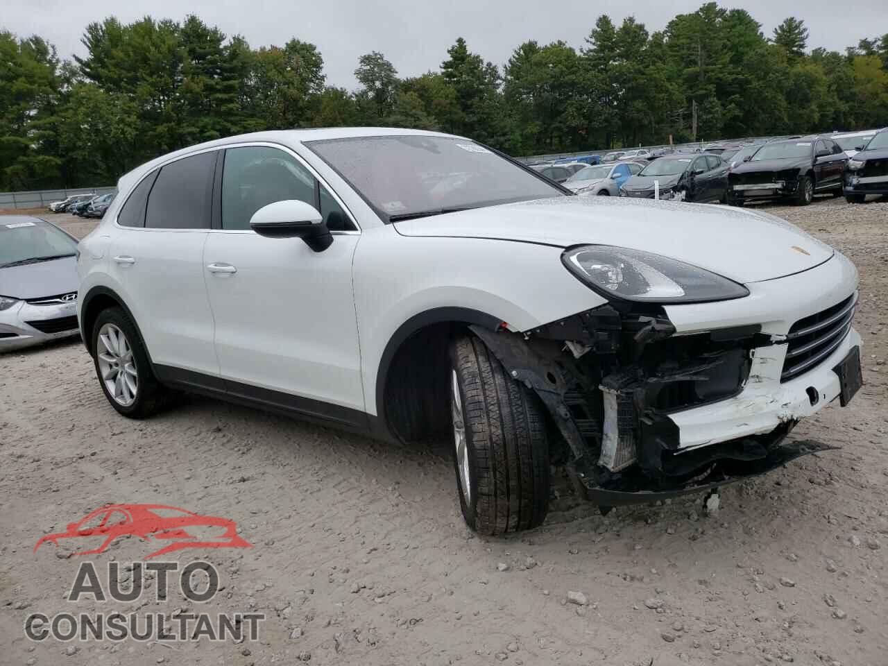 PORSCHE CAYENNE 2020 - WP1AA2AY0LDA06944