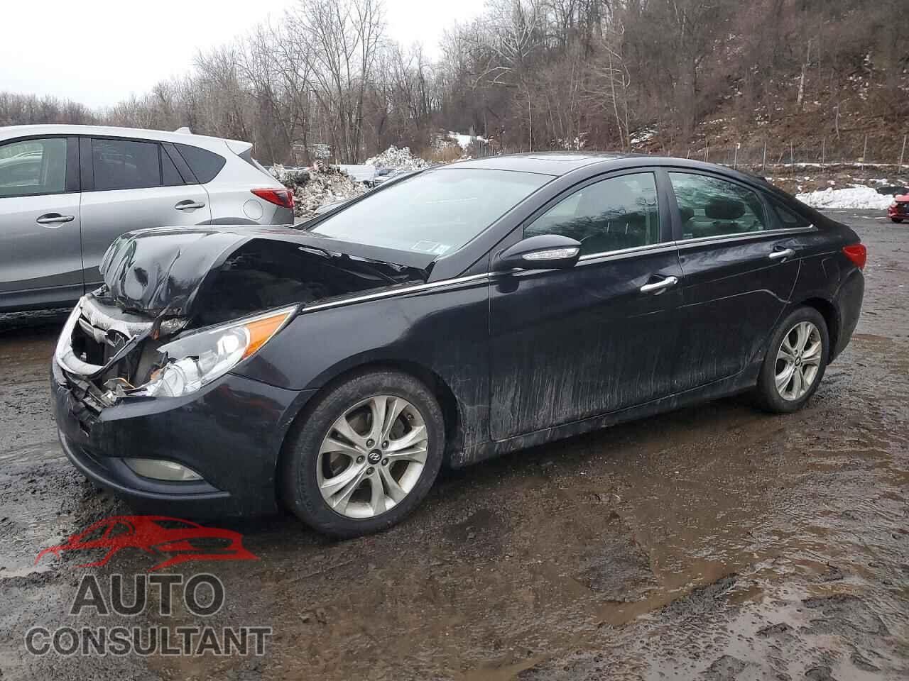 HYUNDAI SONATA 2011 - 5NPEC4AC2BH212062