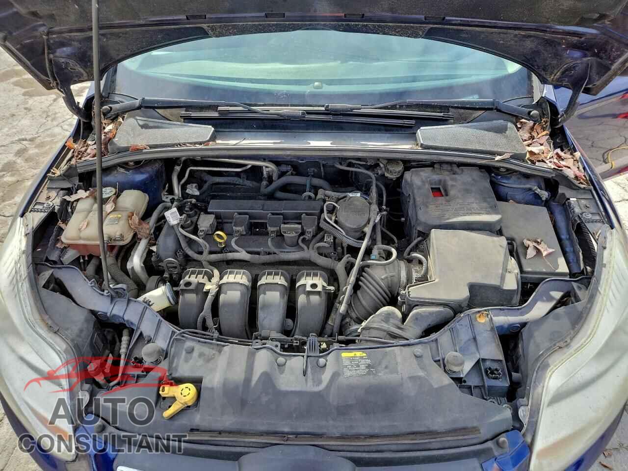 FORD FOCUS 2012 - 1FAHP3K21CL141540