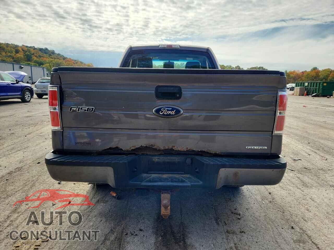 FORD F150 2013 - 1FTMF1EM7DKD44193