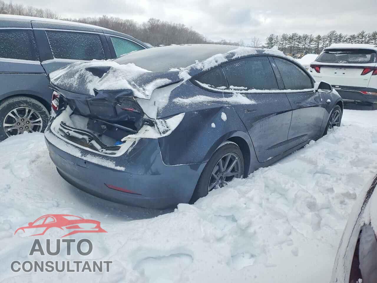 TESLA MODEL 3 2021 - 5YJ3E1EA0MF083555