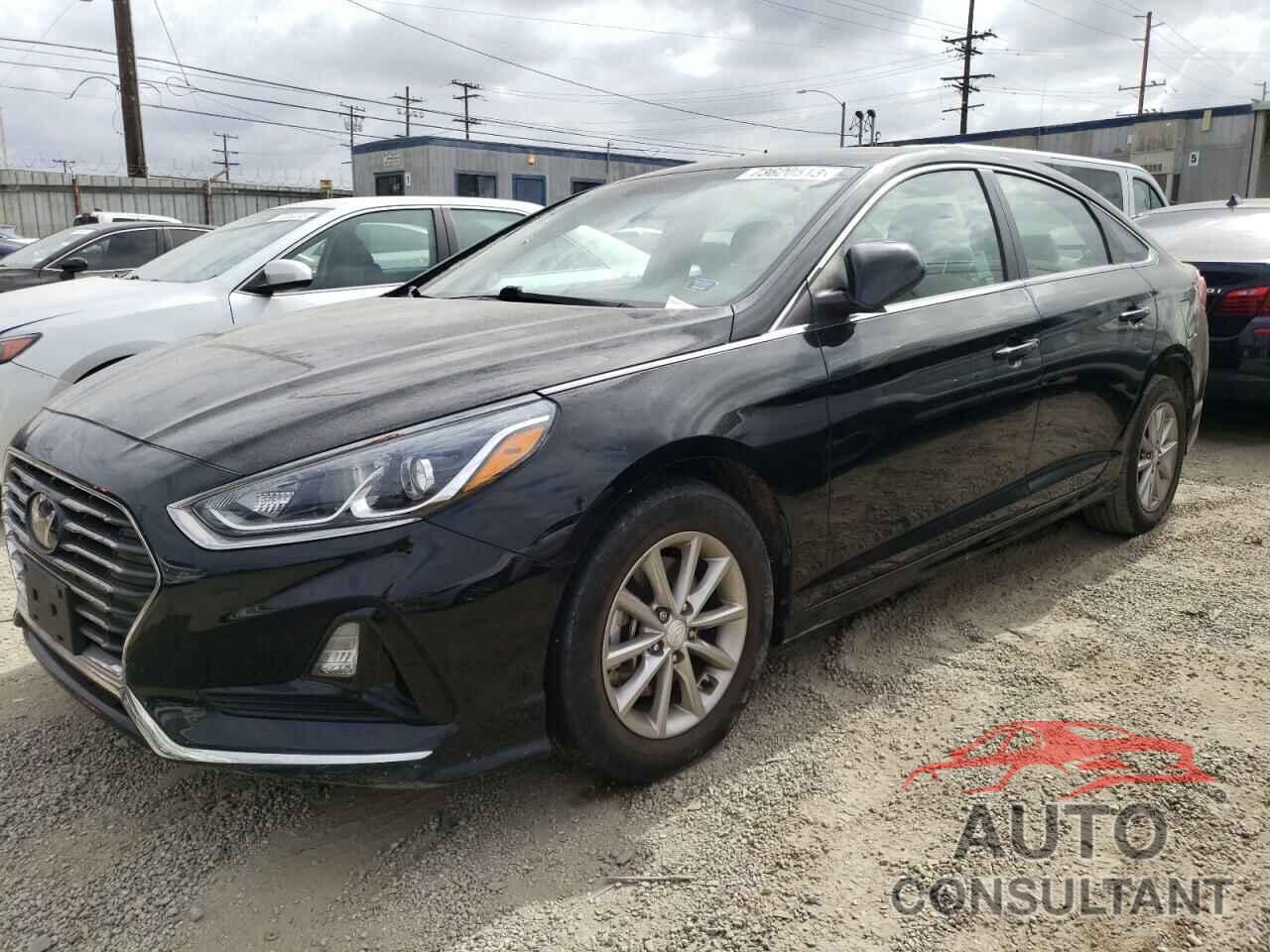 HYUNDAI SONATA 2019 - 5NPE24AF5KH763812