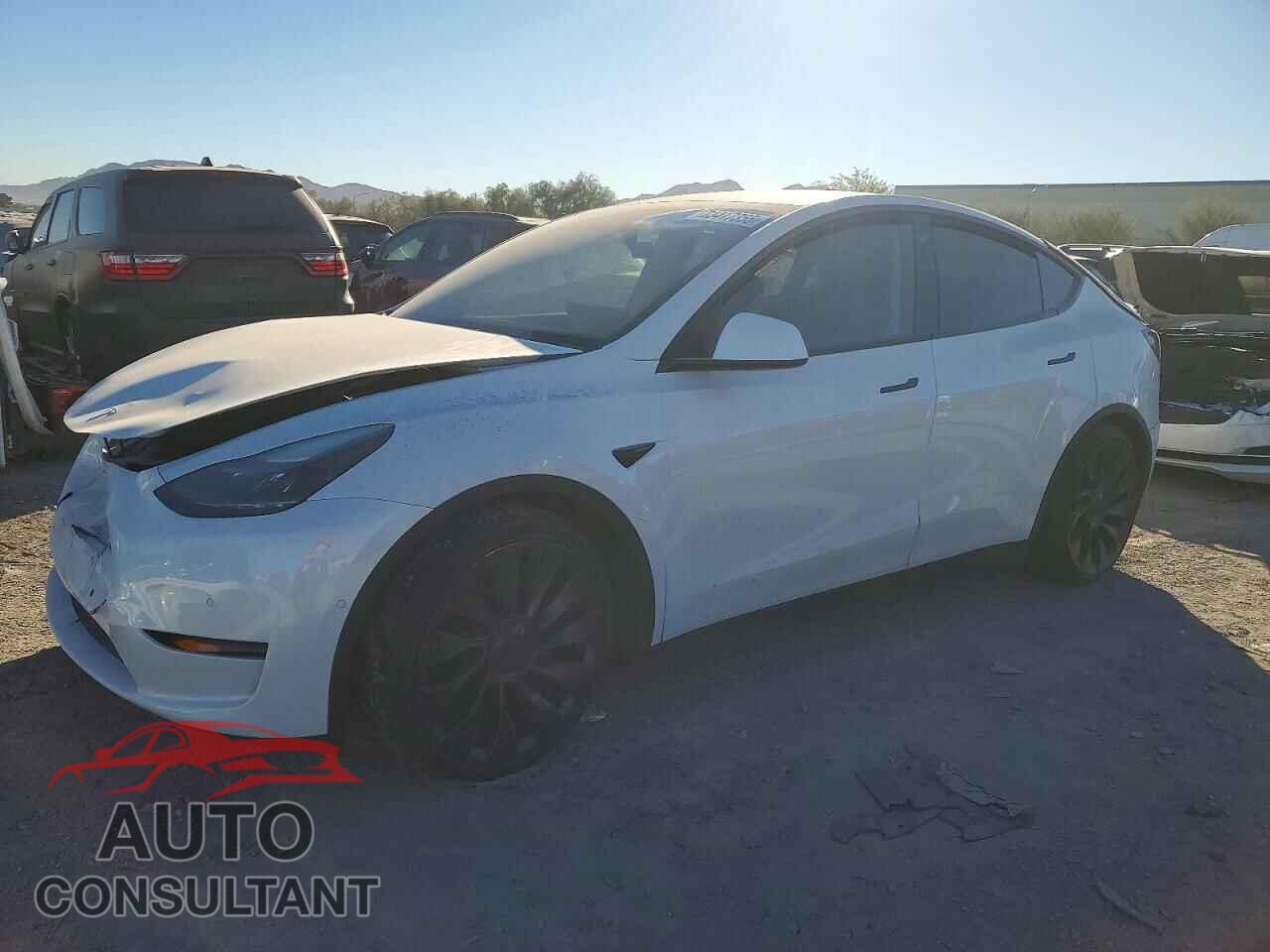 TESLA MODEL Y 2022 - 7SAYGDEF9NF493336