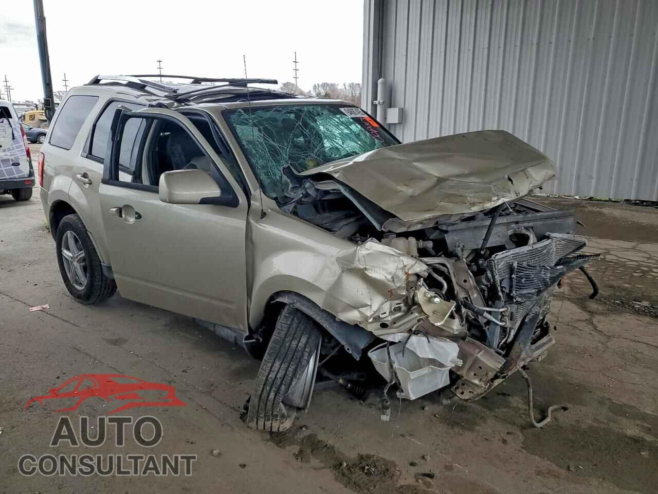 FORD ESCAPE 2011 - 1FMCU9EG6BKC04722