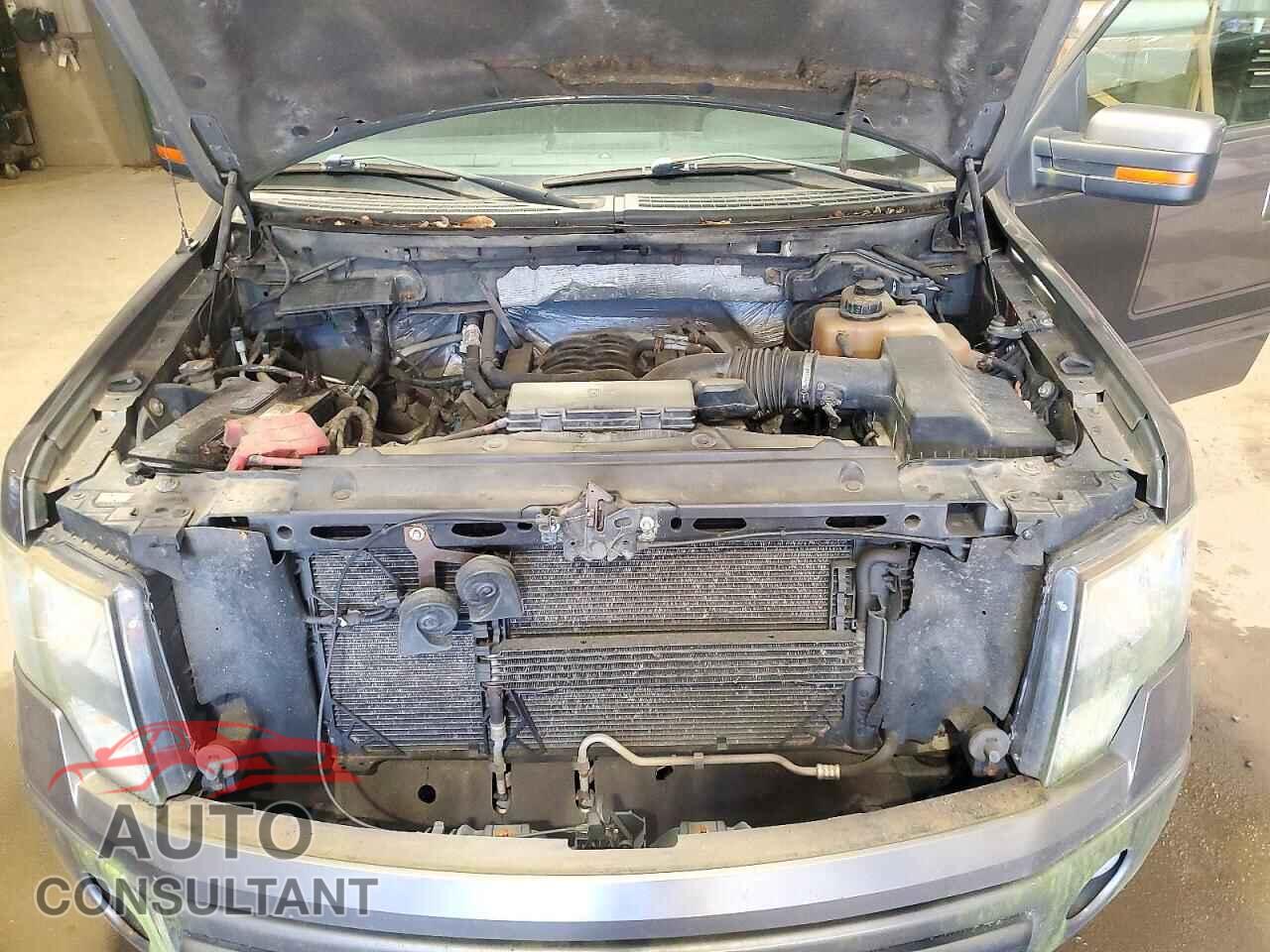FORD F150 2012 - 1FTFX1EF0CFB70188