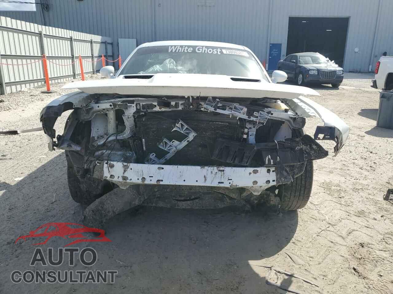 DODGE CHALLENGER 2019 - 2C3CDZAG1KH620604