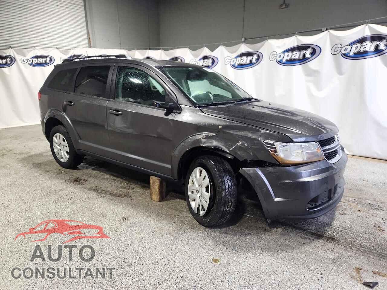 DODGE JOURNEY 2020 - 3C4PDCAB2LT194459