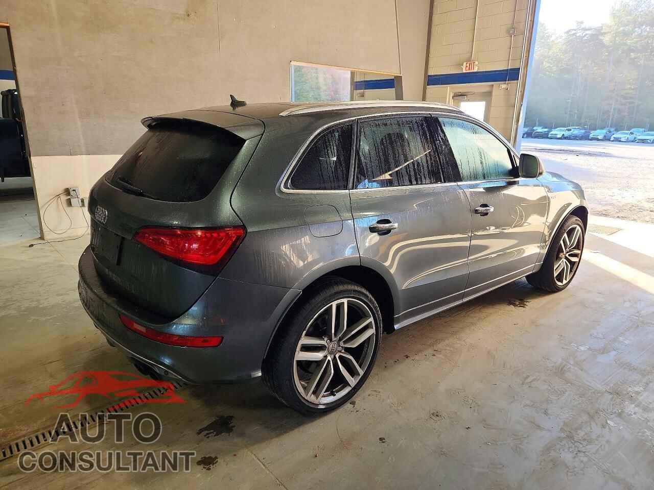 AUDI SQ5 2015 - WA1CGAFP9FA019548