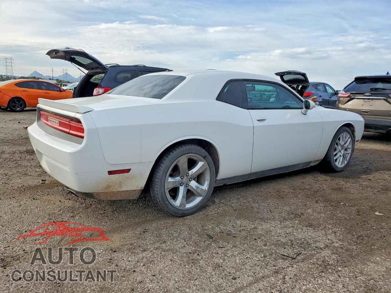 DODGE CHALLENGER 2014 - 2C3CDYBT0EH101358