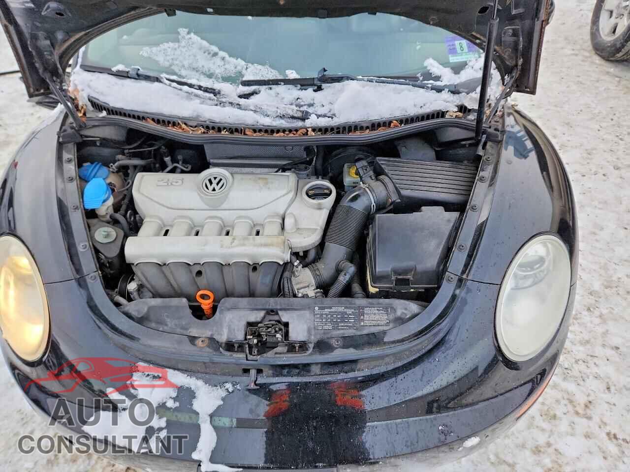 VOLKSWAGEN BEETLE 2010 - 3VWPG3AGXAM036281
