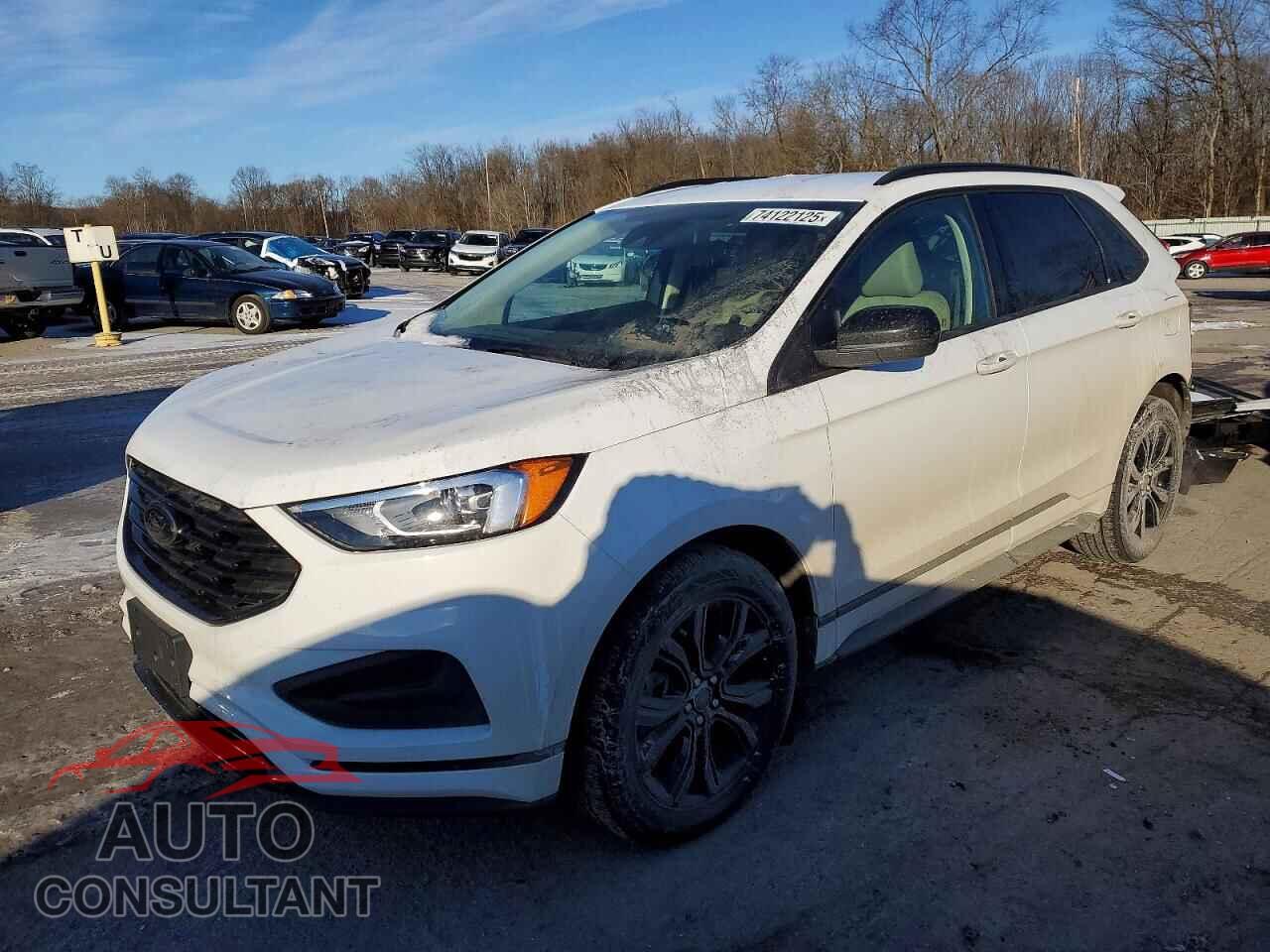 FORD EDGE 2024 - 2FMPK4G95RBB08044
