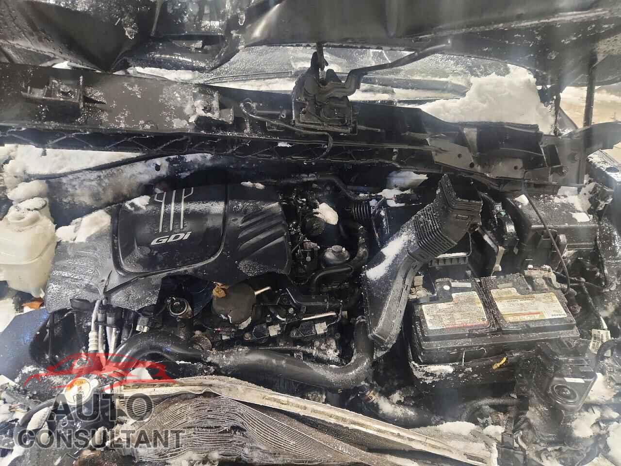 KIA SORENTO 2017 - 5XYPKDA58HG239599
