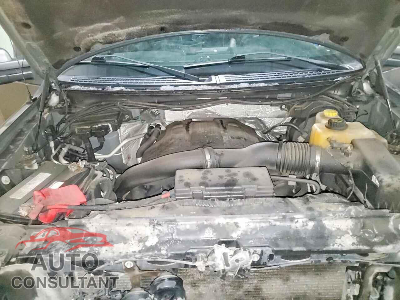 FORD F-150 2013 - 1FTFW1ET7DFD27502