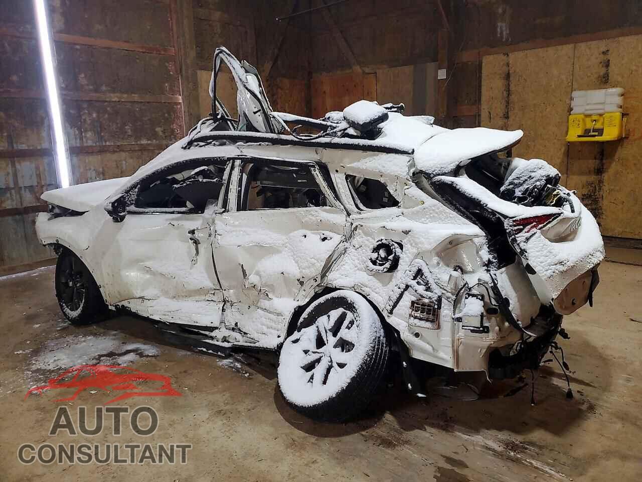 KIA SPORTAGE 2025 - KNDPXCDG0S7179556