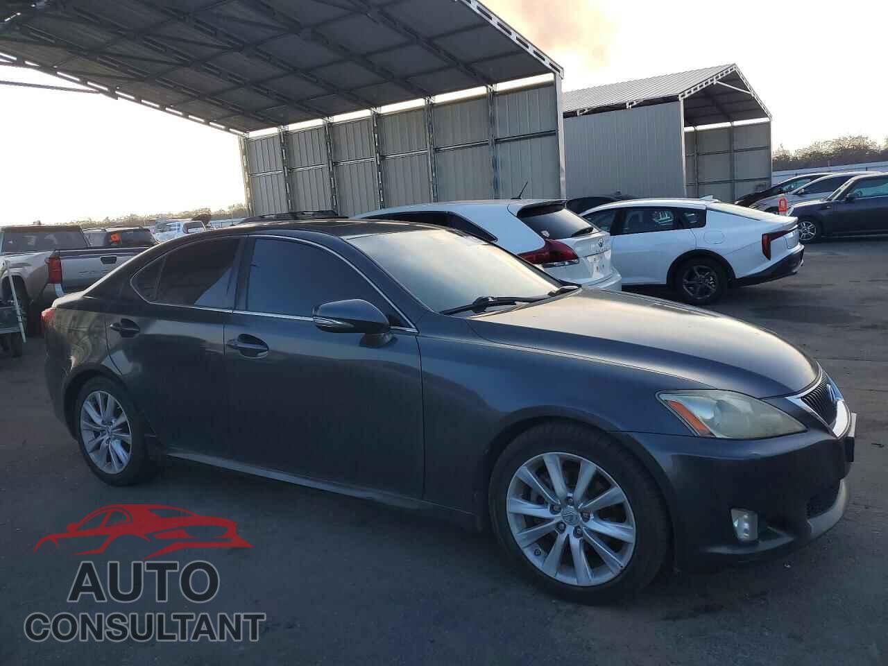 LEXUS IS 2009 - JTHBK262292086564