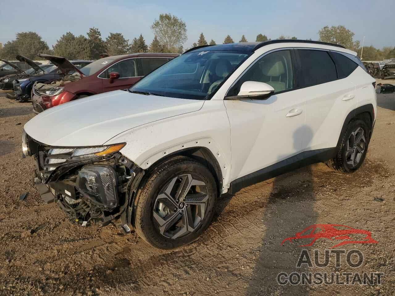 HYUNDAI TUCSON 2023 - KM8JFCA12PU122336