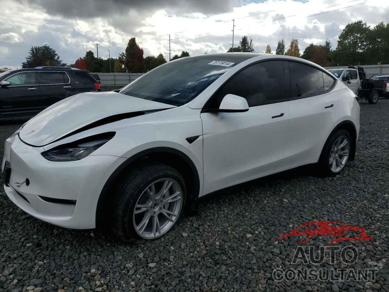 TESLA MODEL Y 2024 - 7SAYGDEE1RF084714