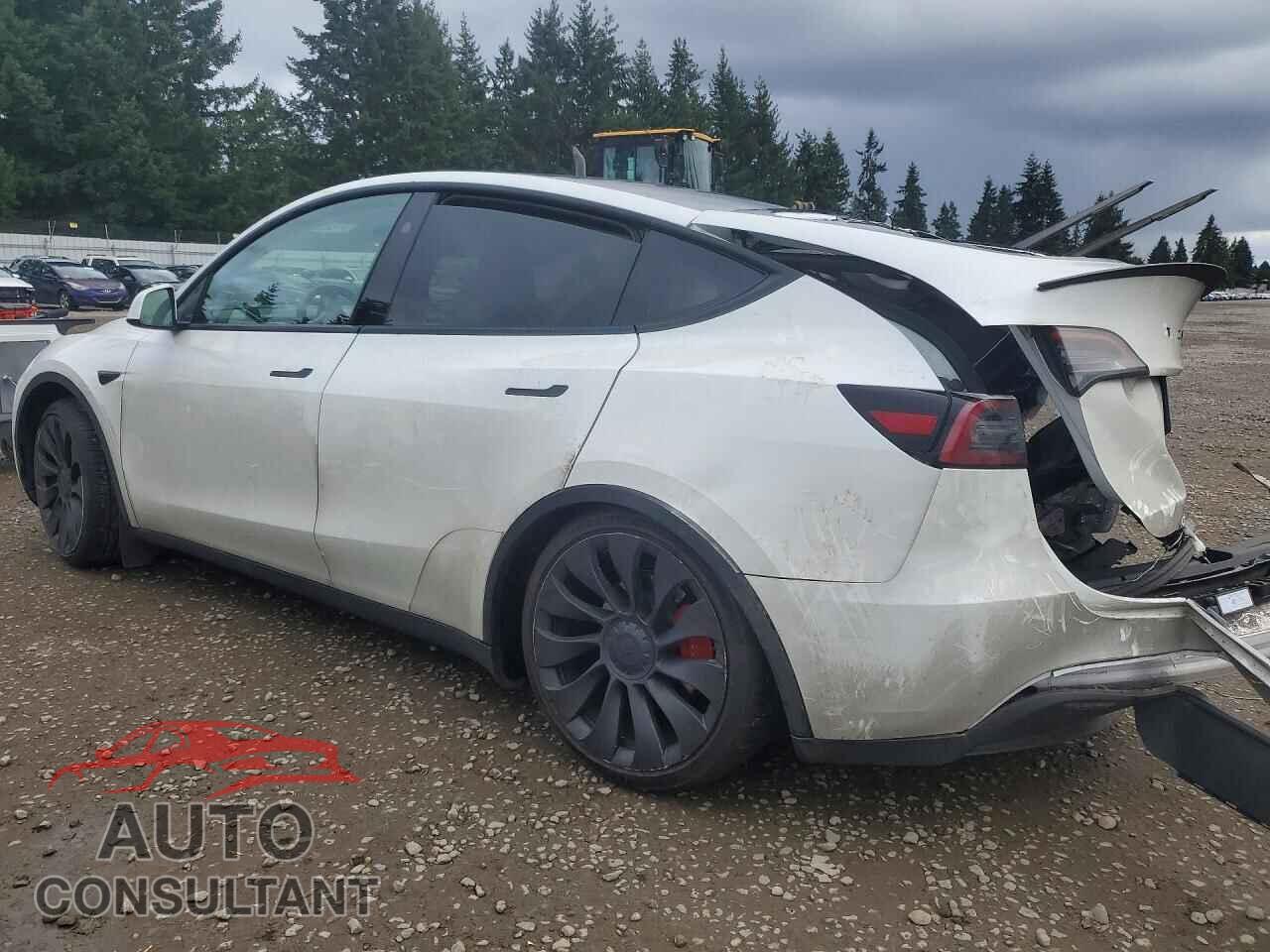 TESLA MODEL Y 2023 - 7SAYGDEF9PF872355