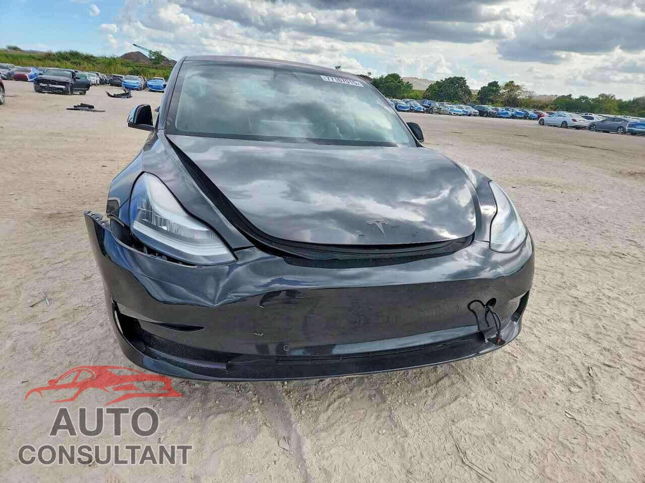 TESLA MODEL 3 2019 - 5YJ3E1EA2KF313416
