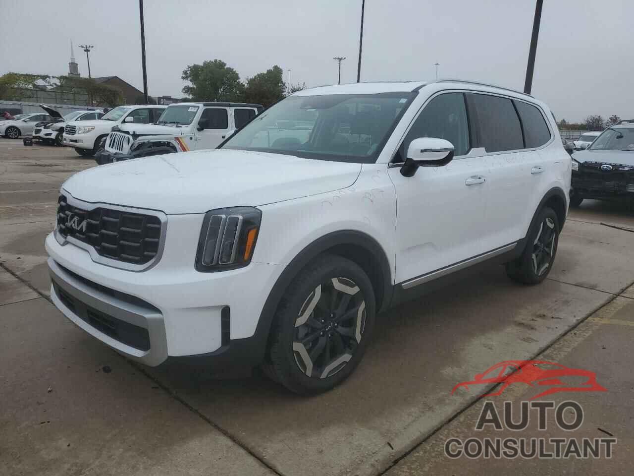 KIA TELLURIDE 2024 - 5XYP6DGC4RG466767