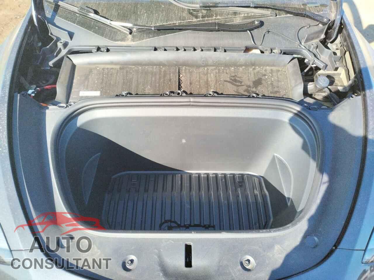 TESLA MODEL Y 2024 - 7SAYGDEE2RF006054